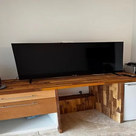 Furnished 2-room With Terrace Appartement