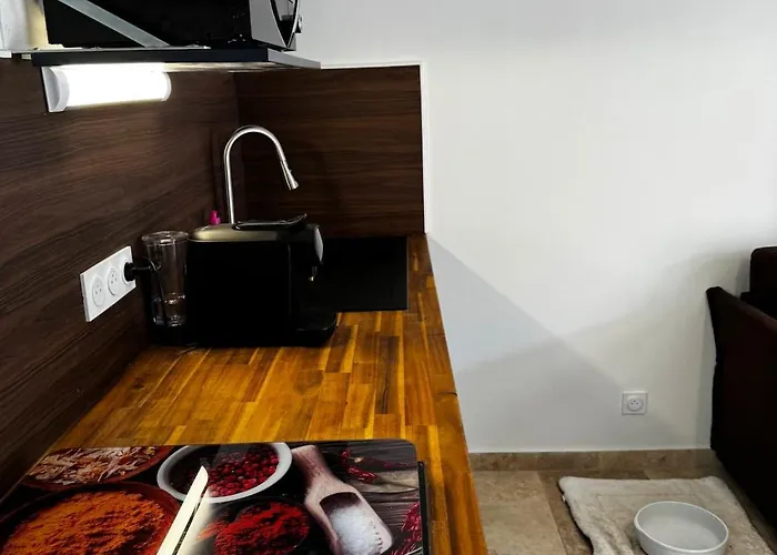Furnished 2-room With Terrace